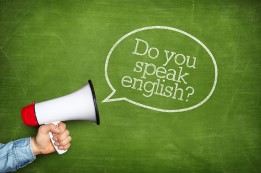 INGLÊS STARTER II