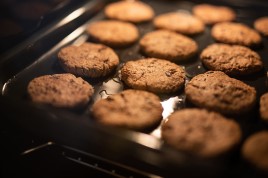 TÉCNICAS DE PRODUÇÃO DE BISCOITOS FINOS E ARTESANAIS